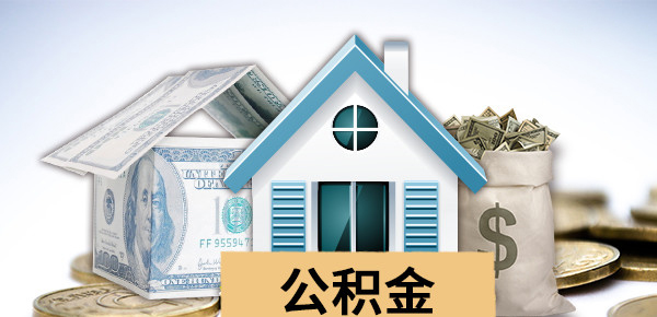 2025年车贷利率计算器：精准估算贷款利息